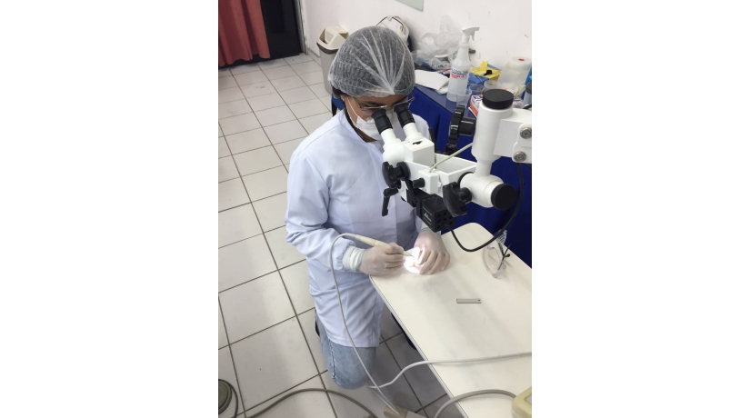 Imersão em Endodontia do Acesso à obturação
