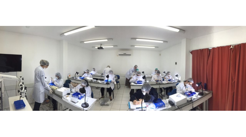 Imersão em Endodontia do Acesso à obturação