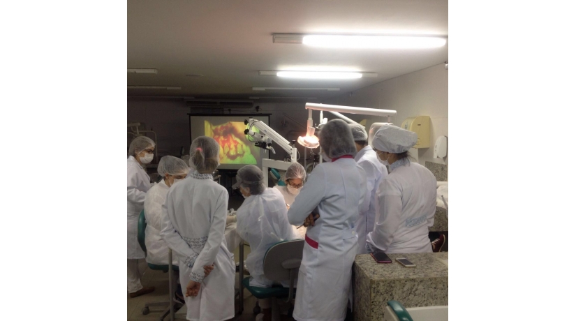 Imersão em Endodontia do Acesso à obturação