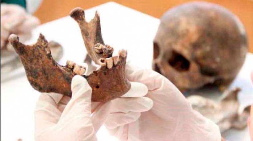 Especialização em Odontologia Legal